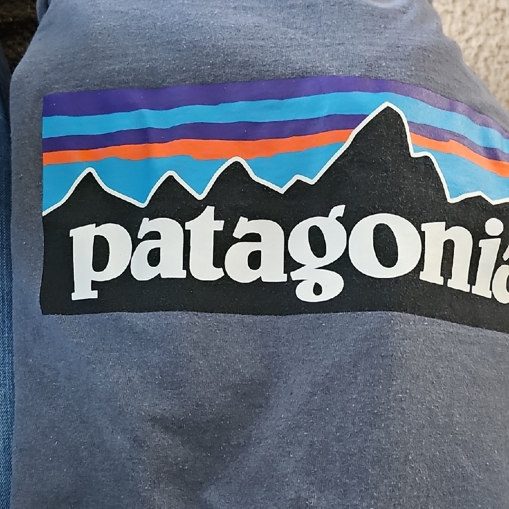 Patagonia Gray Short Sleeve Tee - Picture 4 of 6